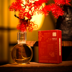 【A flash in the pan】